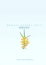 ANNUAL REPORT（アニュアルレポート）