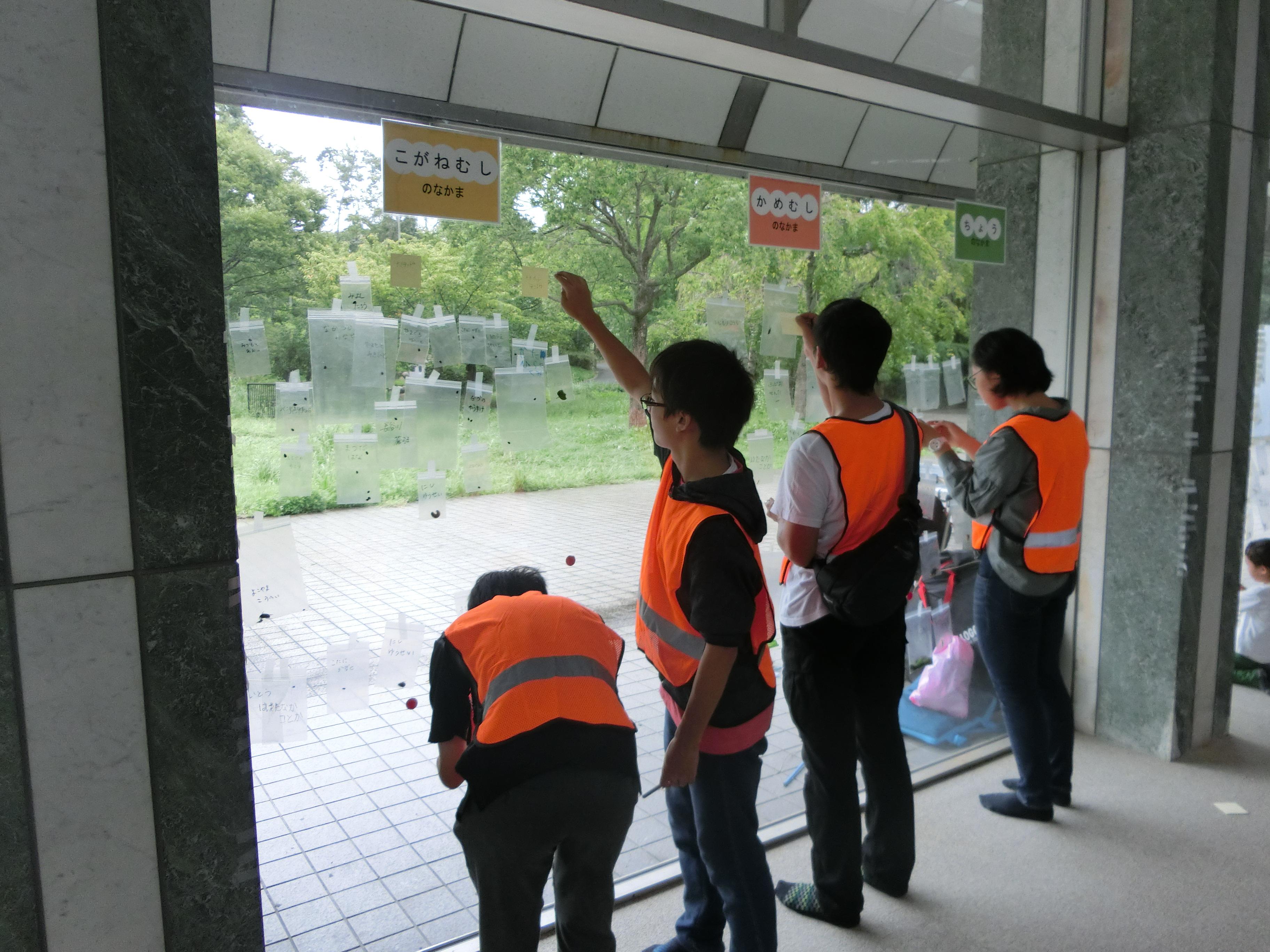 種類分け、展示、先生からの説明