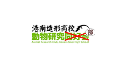 konan zokei high school.PNG